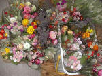 DSCN1938.JPG