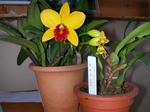DSCN1946.JPG
