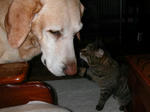 DSCN1955.JPG