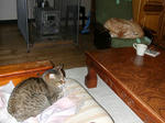 DSCN1952.JPG