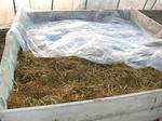 DSCN2009.JPG