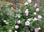 DSCN2063.JPG