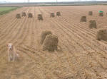 DSCN2094.JPG