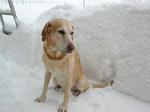 DSCN2116.JPG