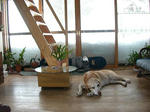 DSCN2130.JPG