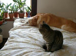 DSCN2156.JPG