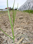 DSCN2160.JPG