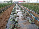 DSCN2166.JPG