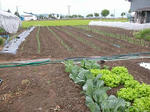 DSCN2164.JPG