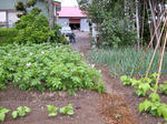 DSCN2172.JPG