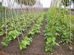 DSCN2170.JPG