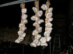 DSCN2175.JPG