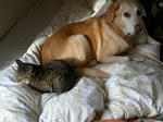 DSCN2196.JPG