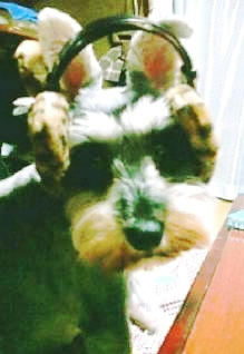 1200639646.jpg