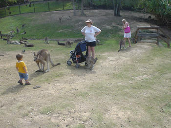 カランビン動物園