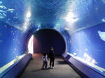 080131_1425~02.jpg