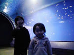 080131_1425~03.jpg