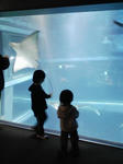 080131_1438~03.jpg