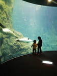 080131_1440~01.jpg