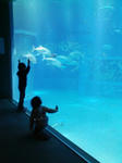 080131_1441~01.jpg