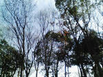 080309_1446~02.jpg
