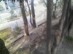 080309_1523~01.jpg