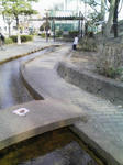 080309_1442~01.jpg
