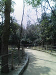 080312_1134~01.jpg