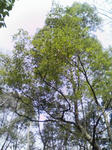 080312_1133~03.jpg