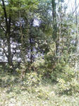 080312_1141~02.jpg