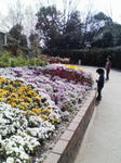 080312_1143~01.jpg