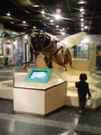 080312_1147~01.jpg