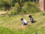CIMG5056.jpg