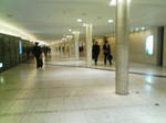 081126_1124~01.jpg