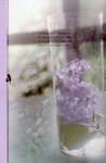 87f203d0.jpg
