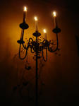 DSC02624.jpg