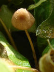 DSC03005.JPG