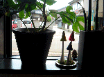 DSC06964.gif