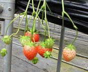 201004031406000.jpg