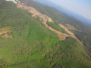 NEC_0008.JPG
