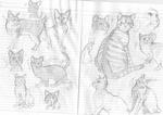 neko.jpg