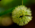 9c997968.JPG