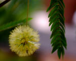 8a7c589a.jpg