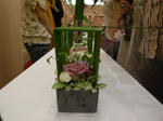 R1100148.JPG