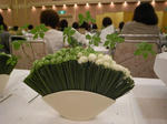 R1100157.JPG