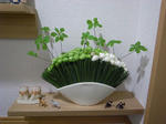 R1100159.JPG