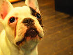 5579635_8267955_197large.jpg