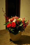 IMGP1267.JPG