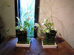 R1100222.JPG
