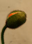 5c060d89.JPG